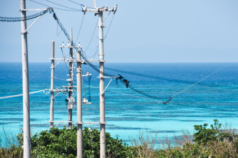 波照間島の海と電柱の写真