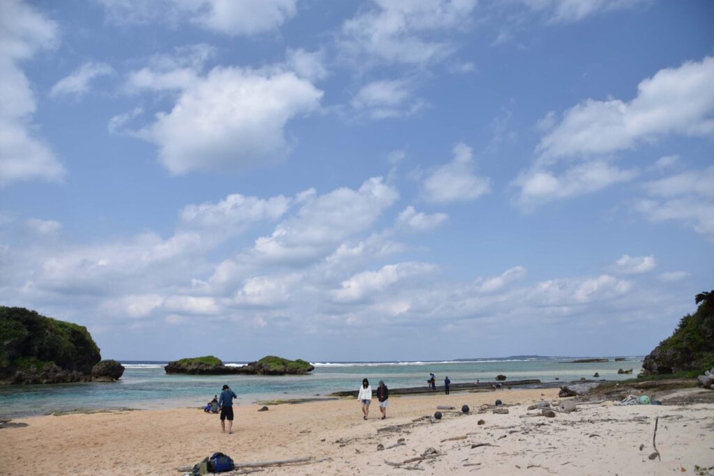 平凡な海岸の写真 