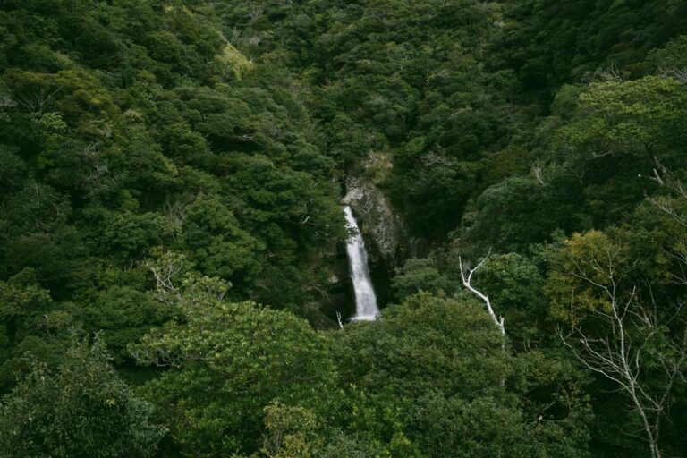 竜神ノ滝