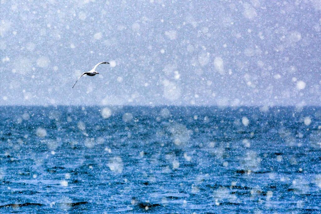 雪と海 