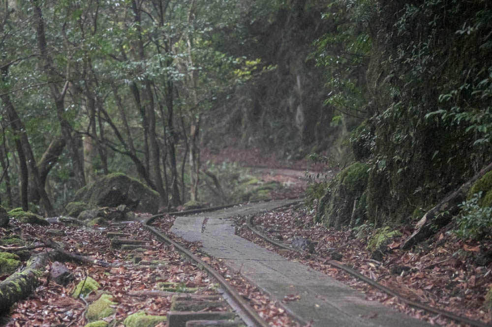 トロッコ跡