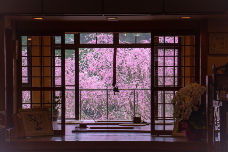 店からの景色